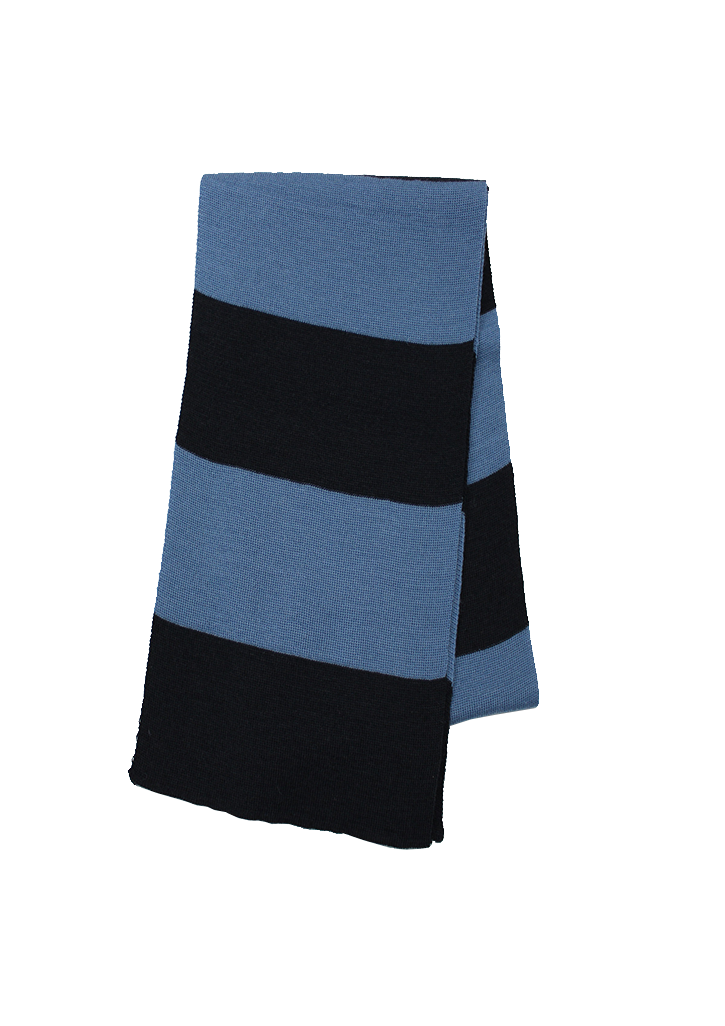 Hadlow Preparatory School Senior Scarf Navy/Sky 180cm